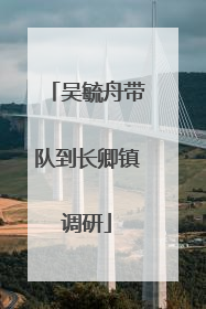 吴毓舟带队到长卿镇调研